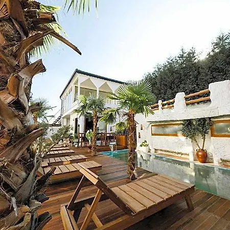 Paradise فندق